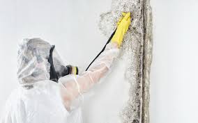 Best Mold Removal for HVAC Installations  in Crest Hl, IL